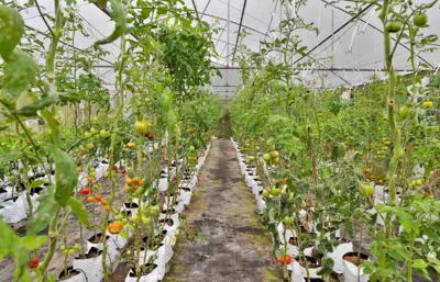 Happy Farmstay Sapa – 写真 7